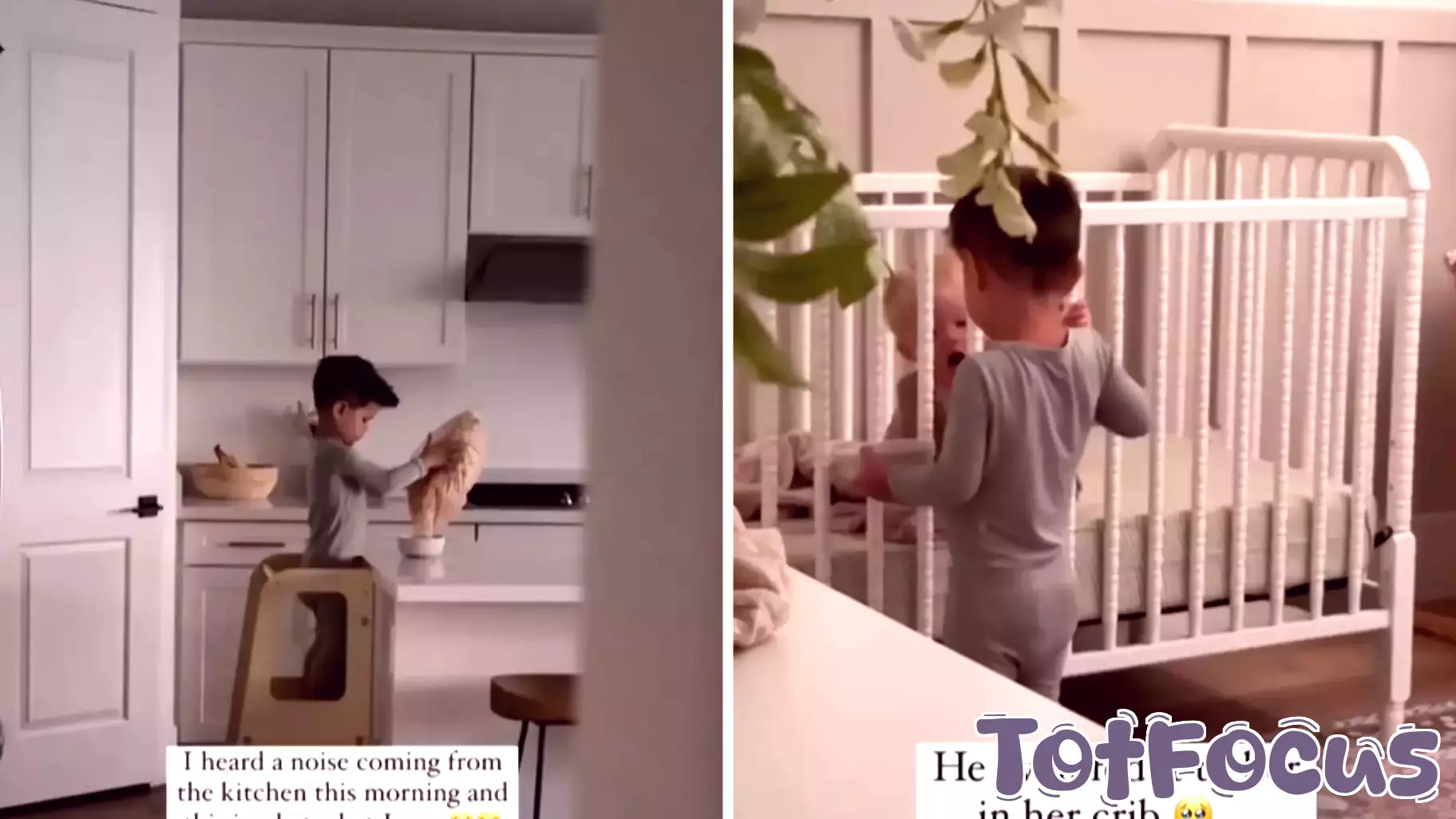 A Surprising Morning Discovery in the Kitchen