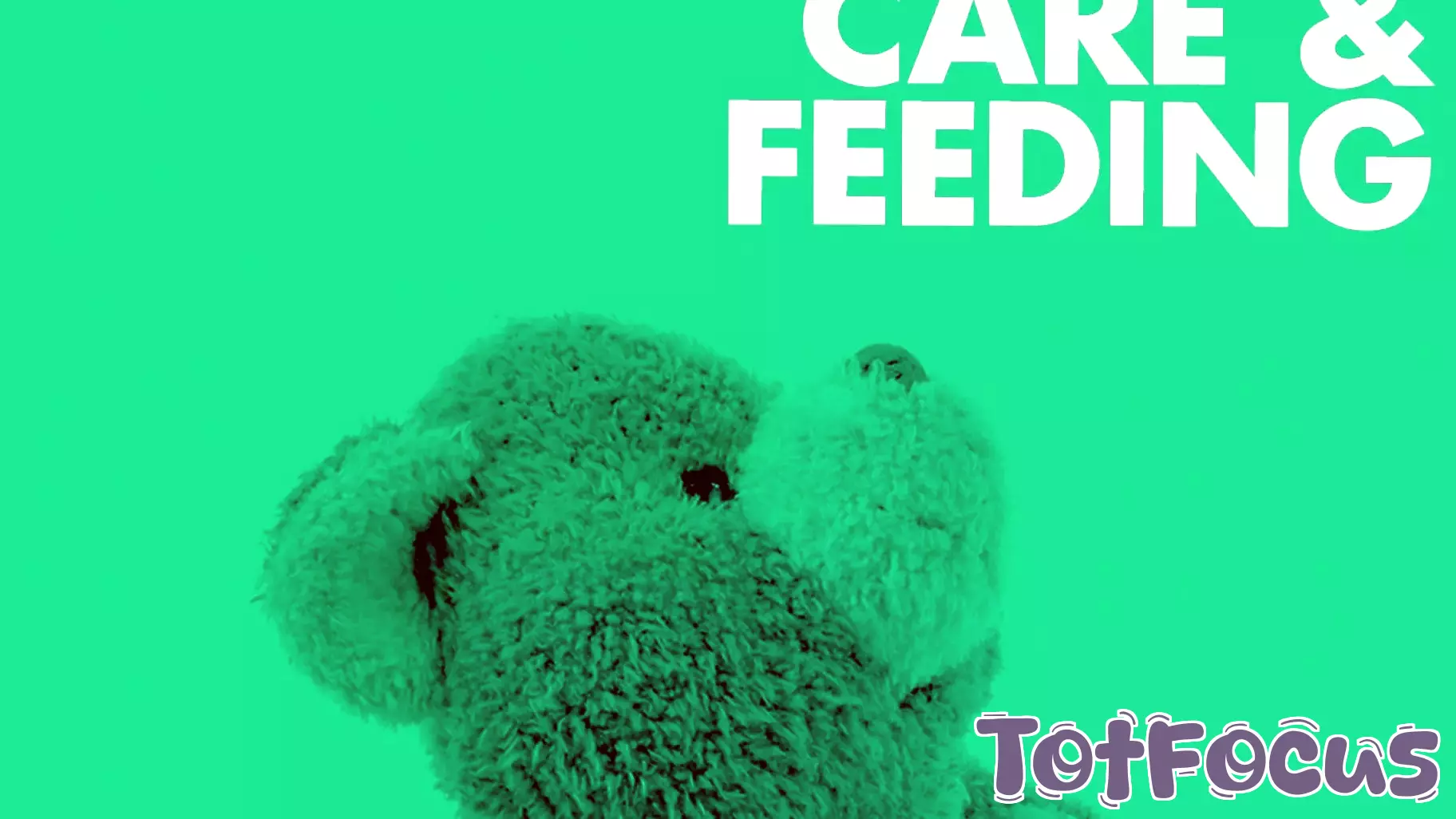 Essential Tips for Ensuring Home Safety