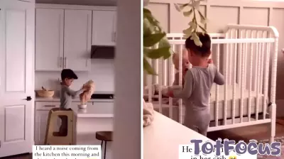 A Surprising Morning Discovery in the Kitchen