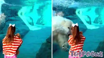 Young Girl's Encounter with a Polar Bear Leaves Her in Awe